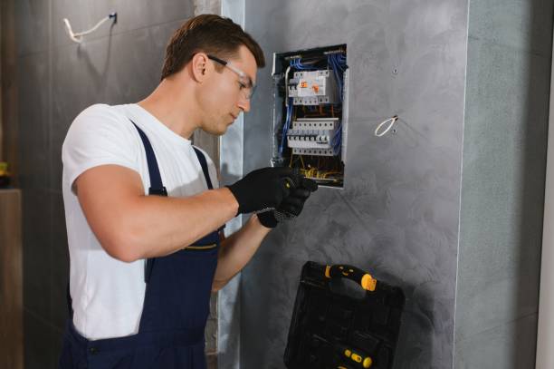 Best Electric Panel Repair  in Calico Rock, AR
